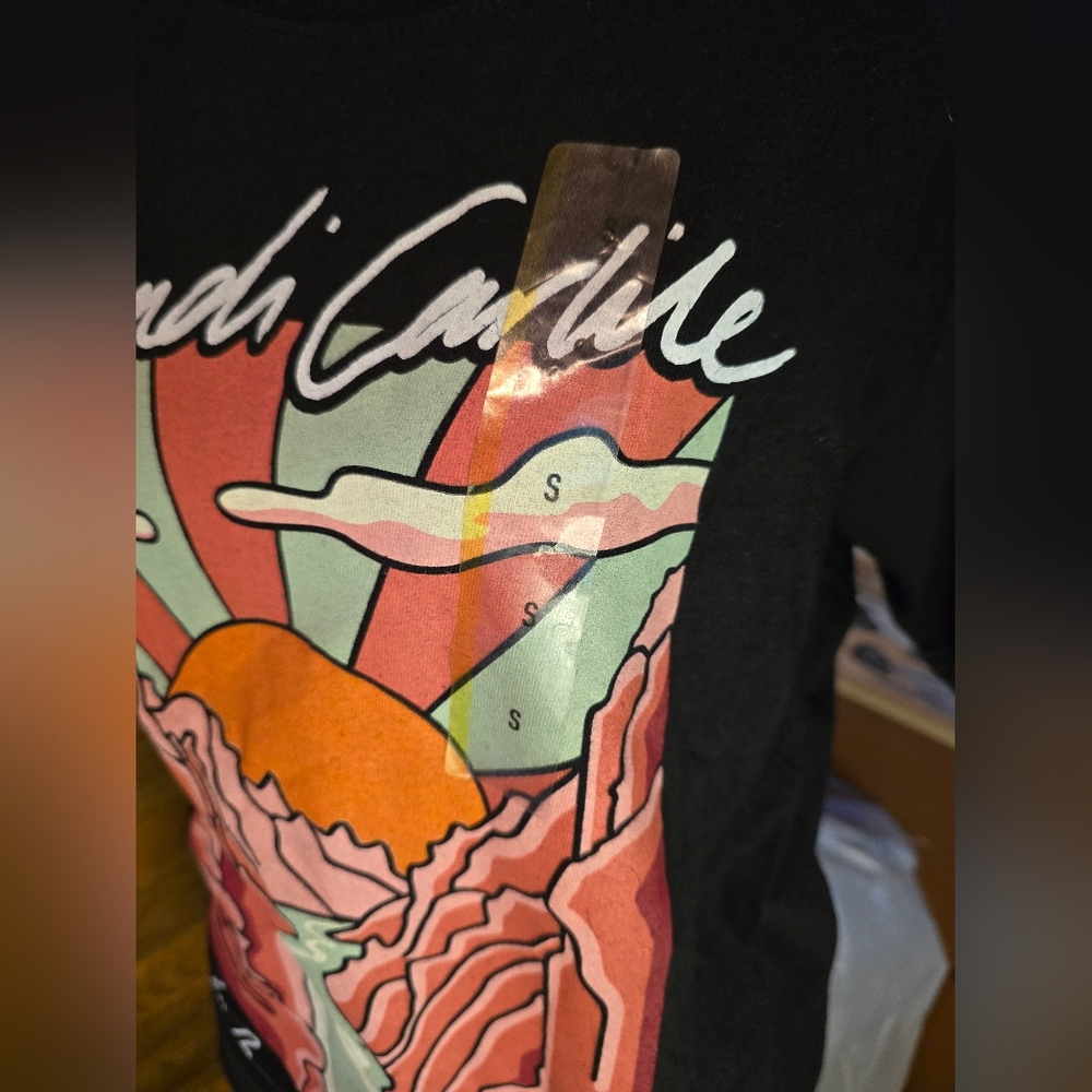NWT Brandi Carlile "In The Canyon Haze" Tee - Picture 2 of 8